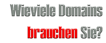 wieviele domains sind sinnvoll?